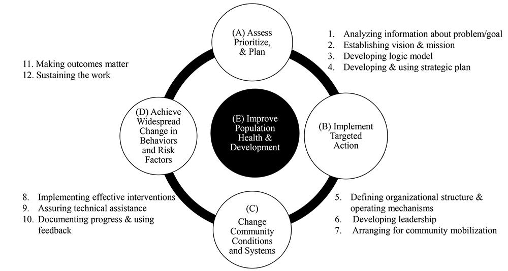 IOM Model